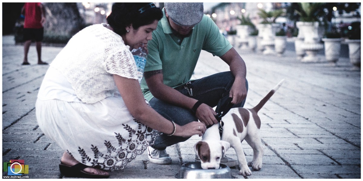 Affordable Cebu Wedding Photographer, Portraits by Bukool, Ian + Tina Engagement Session, Cebu Wedding Photographer, Cebu Wedding Photographers, Wedding Photographers Cebu, Cebu Wedding, Cebu Photographer, Wedding Photographer, Cebu Prenup Photography, Cheap Cebu Wedding Photographer, Cebu, Cebu City, Pari-an Cebu City, San Diego Ancestral Home, Plaza Independencia Cebu, Cebu Engagement Photography, The Yap-Sandiego Heritage House,Pitbull