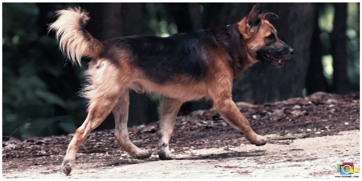 Cebu Wedding Photographer, Affordable Cebu Wedding Photographer, Portraits by Bukool, Ione + Karen Faily Tale Engagement Cebu, Fairy Tale Prenup Concept, Little Miss Red Riding Hood Prenup, Cebu Destination Wedding Photographer, Singapore Wedding Photographer, Singapore Engagement Session, Wedding Photographers Cebu, Cebu Wedding, Cebu Photographer, Wedding Photographer, Cebu Prenup Photography, Cheap Cebu Wedding Photographer, Cebu, Cebu City, Cebu Engagement Photography, Camp Marina Cebu, Xlibris, Authorsolutions, Lexmark Mactan, Bon Jovi Engagement, Guns n Roses Prenup