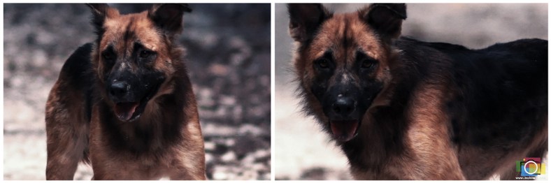 Cebu Wedding Photographer, Affordable Cebu Wedding Photographer, Portraits by Bukool, Ione + Karen Faily Tale Engagement Cebu, Fairy Tale Prenup Concept, Little Miss Red Riding Hood Prenup, Cebu Destination Wedding Photographer, Singapore Wedding Photographer, Singapore Engagement Session, Wedding Photographers Cebu, Cebu Wedding, Cebu Photographer, Wedding Photographer, Cebu Prenup Photography, Cheap Cebu Wedding Photographer, Cebu, Cebu City, Cebu Engagement Photography, Camp Marina Cebu, Xlibris, Authorsolutions, Lexmark Mactan, Bon Jovi Engagement, Guns n Roses Prenup