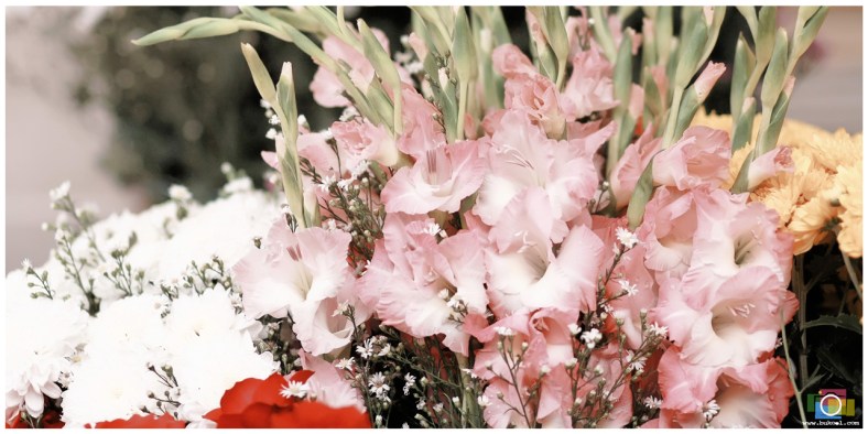 Aboitiz Power, Affordable Cebu Wedding Photographer, Portraits by Bukool, Carlo and Dan Prenup, Cebu Wedding Photographer, Cebu Wedding Photographers, Wedding Photographers Cebu, Cebu Wedding, Cebu Photographer, Wedding Photographer, Cebu Prenup Photography, Cheap Cebu Wedding Photographer, Cebu, Cebu City, Saturn Technologies MEPZ2, Cebu Engagement Photography, Cafe de France Marina Mall, Portofino Beach weddings