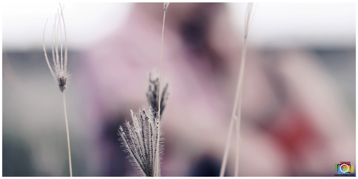 Affordable Cebu Wedding Photographer; Portraits by Bukool; Jereh and Angeline Prenup; Jereh and Angeline Wedding; Cebu Wedding Photographer; Cebu Wedding Photographers; Wedding Photographers Cebu; Cebu Wedding; Cebu Photographer; Wedding Photographer; Cebu Prenup Photography; Cheap Cebu Wedding Photographer; Cebu; Cebu City; Cebu Cathedral Wedding; North Reclamation Area Cebu; FF Cruz Cebu; Cebu Engagement Photography; Chateau de Busay Garden Wedding; Best Prenup Locations in Cebu; UBEC