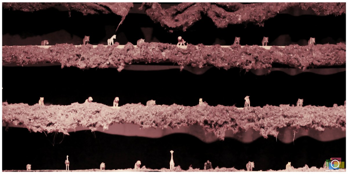 Affordable Cebu Wedding Photographer; Portraits by Bukool; Jereh and Angeline Prenup; Jereh and Angeline Wedding; Cebu Wedding Photographer; Cebu Wedding Photographers; Wedding Photographers Cebu; Cebu Wedding; Cebu Photographer; Wedding Photographer; Cebu Prenup Photography; Cheap Cebu Wedding Photographer; Cebu; Cebu City; Cebu Cathedral Wedding; North Reclamation Area Cebu; FF Cruz Cebu; Cebu Engagement Photography; Chateau de Busay Garden Wedding; Best Prenup Locations in Cebu; UBEC