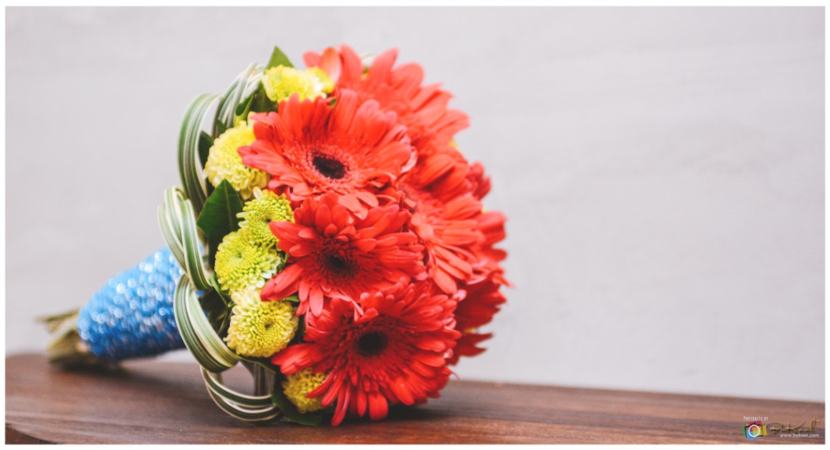 Snappy + Mae Wedding