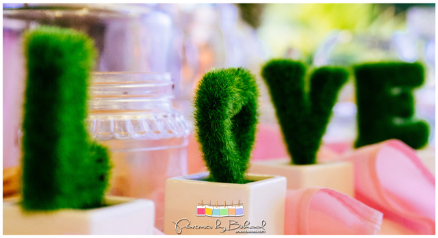 skye wedding coordinator, belinda lañas, raine miro, joean montaire, chedz cakes, bukool wedding photography, danao weddings, el salvador danao, msj lights and sounds, bukool films, cebu wedding package