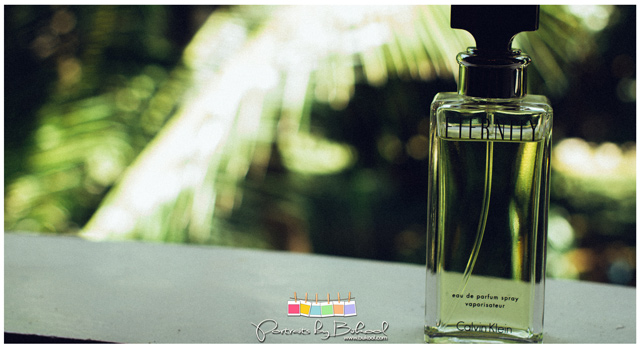 skye wedding coordinator, belinda lañas, raine miro, joean montaire, chedz cakes, bukool wedding photography, danao weddings, el salvador danao, msj lights and sounds, bukool films, cebu wedding package