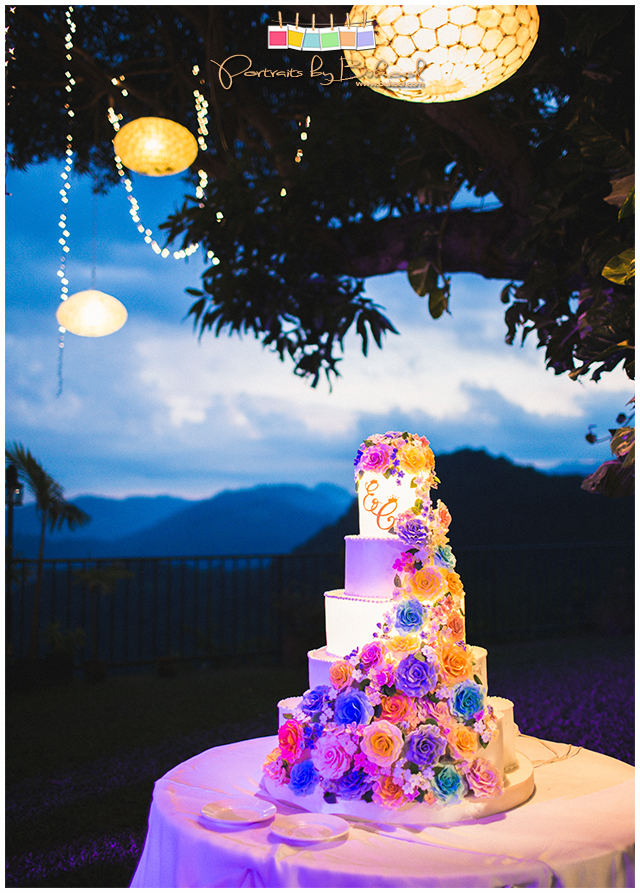 Erwin-Chuchi Wedding, Portraits by Bukool, Cebu Wedding Photographer Videographer, Skye Wedding Coordinator, Chateau de Busay Wedding, Cebu Cathedral Wedding, Rainbow Themed Wedding