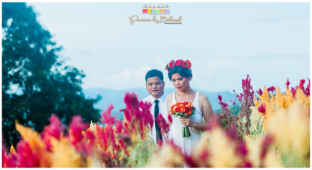 Abe-Shang Prenup, Portraits by Bukool, Cebu Wedding Photographer Videographer, Shangri-la Mactan Wedding, Shangri-la Mactan Prenup, Sirao Prenup, Sirao Flower Farm, Ayala Heights Prenup, Bukool Films Wedding Video