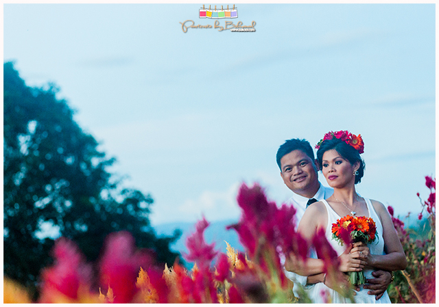 Abe-Shang Prenup, Portraits by Bukool, Cebu Wedding Photographer Videographer, Shangri-la Mactan Wedding, Shangri-la Mactan Prenup, Sirao Prenup, Sirao Flower Farm, Ayala Heights Prenup, Bukool Films Wedding Video