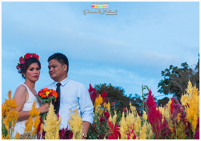 Abe-Shang Prenup, Portraits by Bukool, Cebu Wedding Photographer Videographer, Shangri-la Mactan Wedding, Shangri-la Mactan Prenup, Sirao Prenup, Sirao Flower Farm, Ayala Heights Prenup, Bukool Films Wedding Video