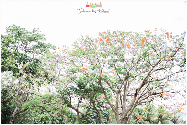 shangri-la mactan wedding, japanese wedding, beach wedding, destination wedding, bukool films, portraits by bukool, cebu destination wedding photographer and videographer