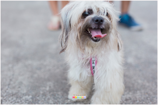 Pre-Wedding Photography, Prenup Photography, Engagement Photography, Portraits by Bukool, Mat Eric Medalle, Kimberly Kathe Oliverio, Mat - Kim Prenup, BukoolFilms, Raine Miro Makeup Artist, Peppermint Makeup Artistry, Devil's Coffee, Angel's Burger, Kan-Irag Park Cebu, Sirao Peak, Ayala Heights, Nang Inday Lañas Florist