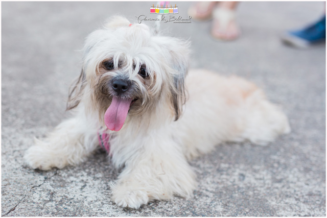 Pre-Wedding Photography, Prenup Photography, Engagement Photography, Portraits by Bukool, Mat Eric Medalle, Kimberly Kathe Oliverio, Mat - Kim Prenup, BukoolFilms, Raine Miro Makeup Artist, Peppermint Makeup Artistry, Devil's Coffee, Angel's Burger, Kan-Irag Park Cebu, Sirao Peak, Ayala Heights, Nang Inday Lañas Florist