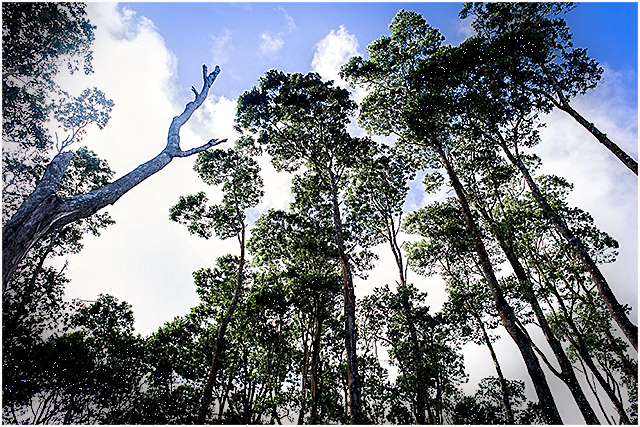 Big Q Farm, Cebu Prenup, Cebu Wedding Photographer, Engagement Session, Geof Lagria Styling, Jon and Donna Prenup, Portraits by Bukool, Pre-Wedding, Rizza Cincoflores Makeup Artist, Rustic Themed Prenup