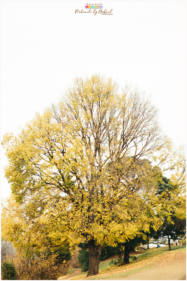 Australia Prenup, Destination Wedding Photographer, Portraits by Bukool, Richmond Bridge Tasmania, Richmond Pre-Wedding, Richmond Tasmania Australia, Richmond Tasmania Photographer, Destination Wedding Photographer