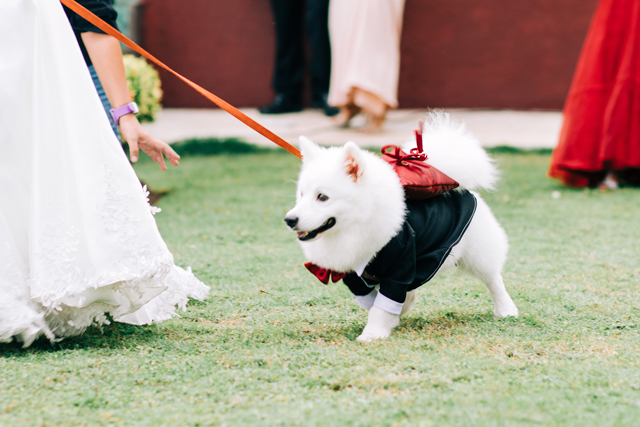 Alcoy Cebu Wedding, Beach Wedding, BukoolFilms Wedding Videos, Carlito-Dianara Wedding, Cebu Wedding Photographer and Videographer, Garden Wedding, Memorable Events by Lorenzii, Portraits by Bukool